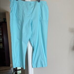 Talbots Signature fit size 16